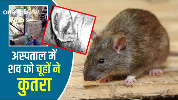 Rat gnaws dead body kept in mercury in Hamidia Hospital, Vishwas Sarang orders inquiry
