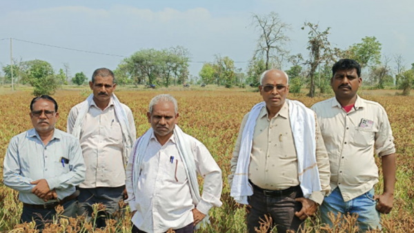 ragi kheti chhattisgarh