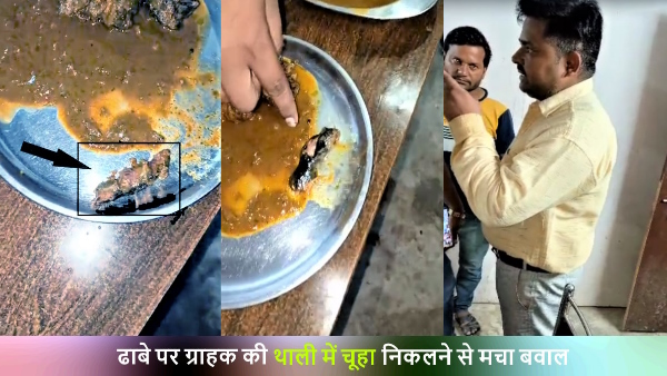 Viral Video Rat served to customer along with meat Dhaba owner got angry on complaining Viral Video Rat served to customer along with meat Dhaba owner got angry on complaining