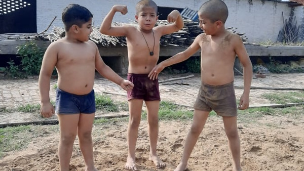 Salarpur Khalsa Tomato Salarpur Khalsa Tomato