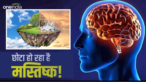 climate change and shrinking brain size