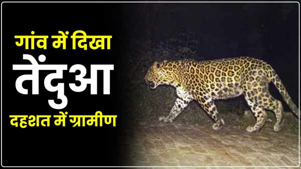 Villagers are forced to live in terror as soon as it gets dark in Sonbhadra of UP