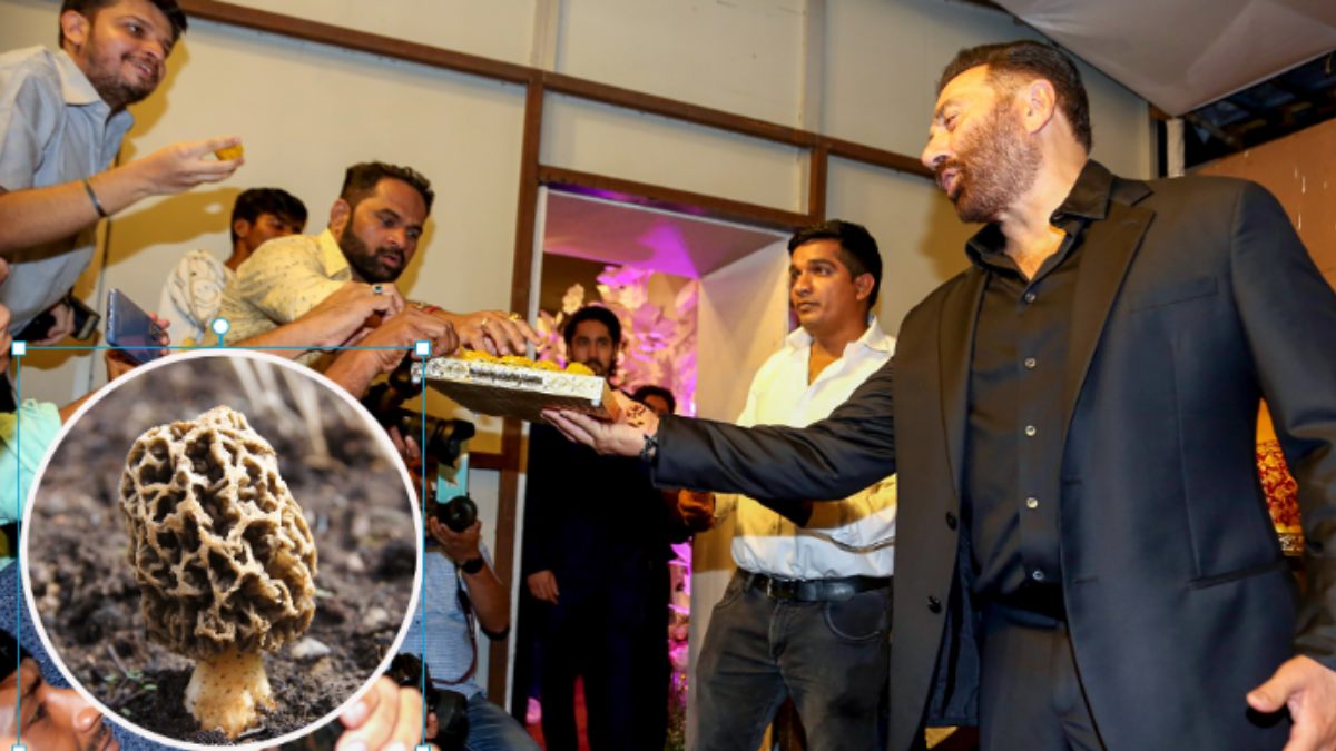  Sunny Deol son Karan Deol reception