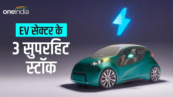 Top 3 EV Sector Share
