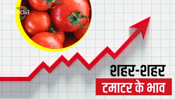 tomato price today tomato price today