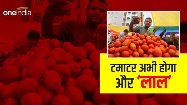 tomato price news