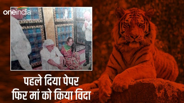 brave daughter first gave paper then mother Funeral cremation woman killed tiger children orphans 