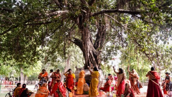 Vat Purnima Vrat 2023 Vat Purnima Vrat 2023