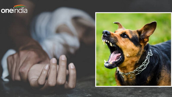 Dog bites off man private part