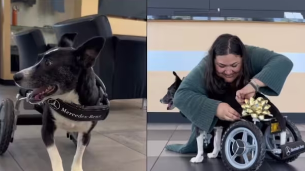  Mercedes Benz wheelchair