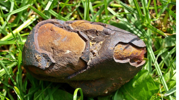 meteorite 