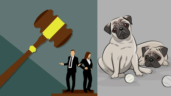 alimony of 50 thousand rupees for 3 pet dog