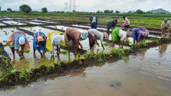 Suryapet, telangana, no index 