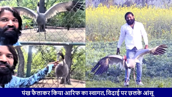 despite being banned Arif secretly reached the zoo in Kanpur to meet the saras video went viral