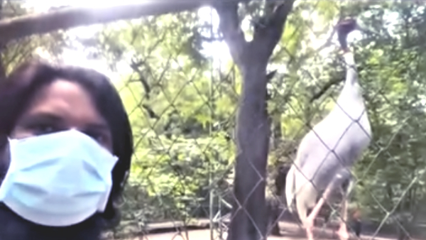 despite being banned Arif secretly reached the zoo in Kanpur to meet the saras video went viral