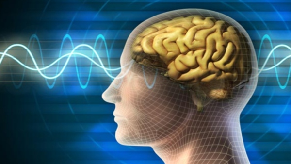 Brain Infection in Kerala Brain Infection in Kerala