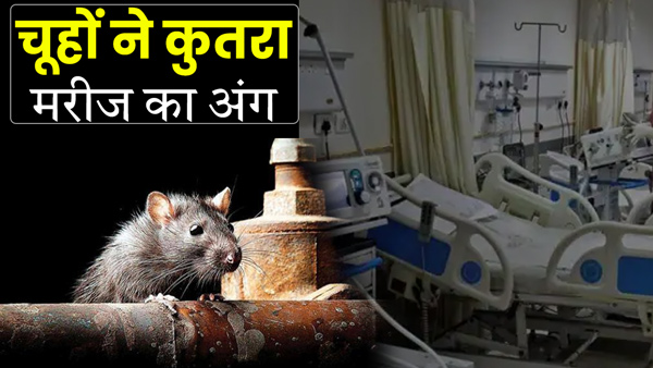 rats-gnaw-the-organs-of-a-patient-admitted-in-the-hospital-icu-in-budaun-up