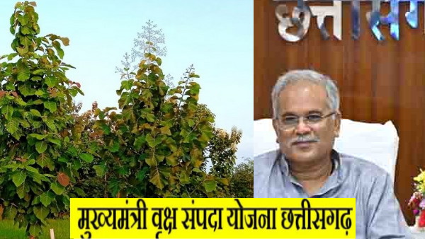 CG VIRKSHA SAMPADA YOJNA 