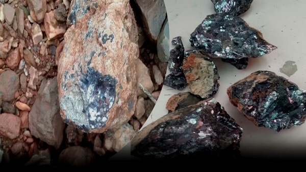 Bileta Patan Alwar Rajasthan