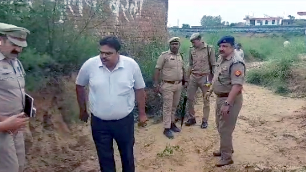 10 year old boy killed 4 year old child by crushing his head with a brick while playing 