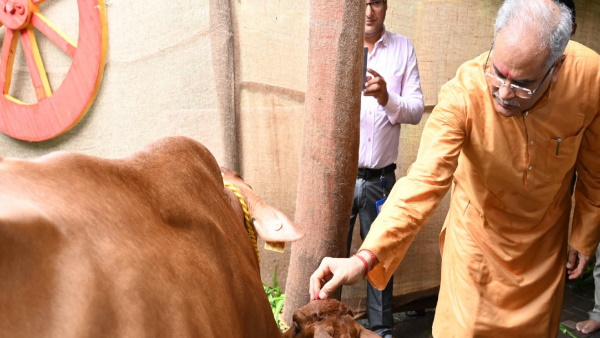CM BHUPESH BACHHIYA