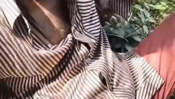 Cobra entered into the shirt of a sleeping person Cobra entered into the shirt of a sleeping person