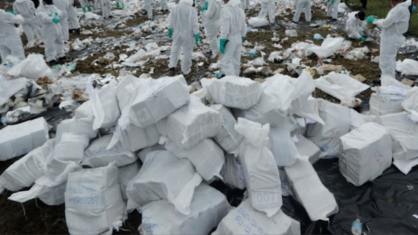 Italy Police seize 5.3 tons of cocaine Italy Police seize 5.3 tons of cocaine