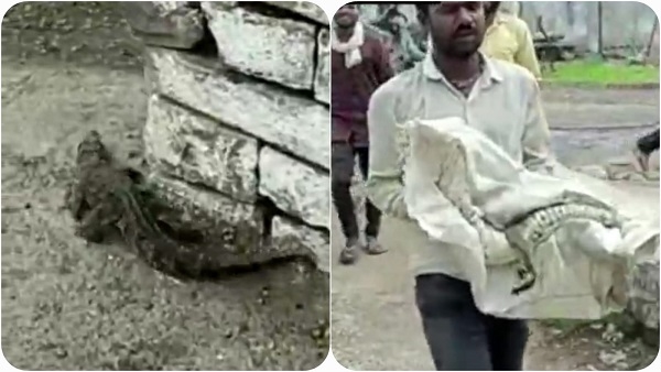 sagar_आंगन में दौड़ रहा था 4 फीट का मगरमच्छ, देखकर उड़े होश