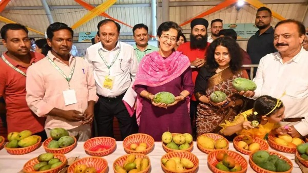 Delhi Govt Mango Festival 