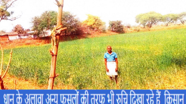 DHAN KISAN