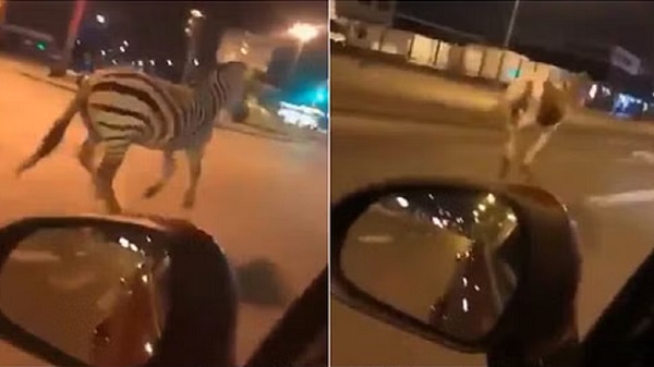 France Protest Viral Video