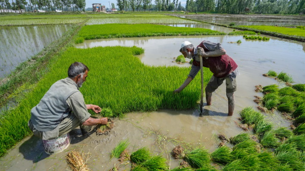 odisha