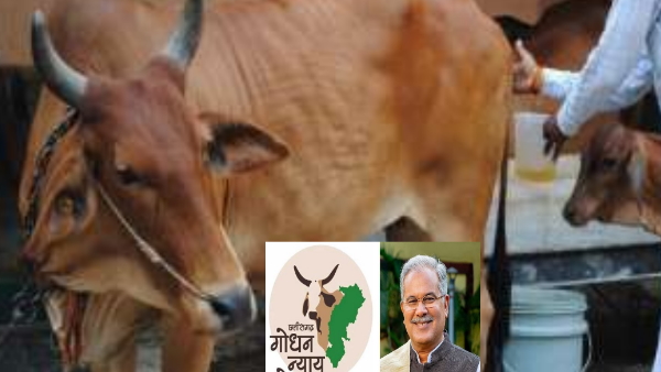 godhan nyay yojna gaumutra