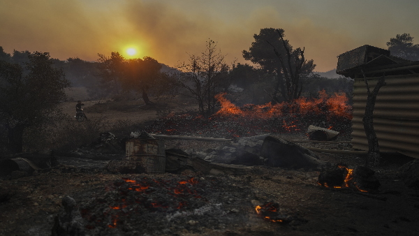 Greece Wild fire News