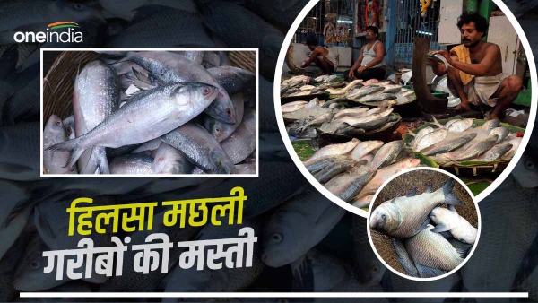 hilsa fish kolkata bengal