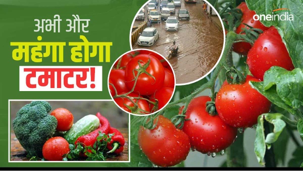 tomato prices after himachal rains tomato prices after himachal rains