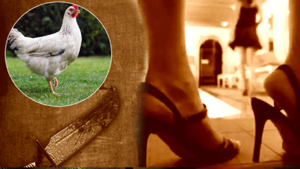 Honey Trap with chicken Blood