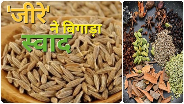 जीरे ने बिगाड़ा स्वाद, 800 रुपए किलो बिक रहा