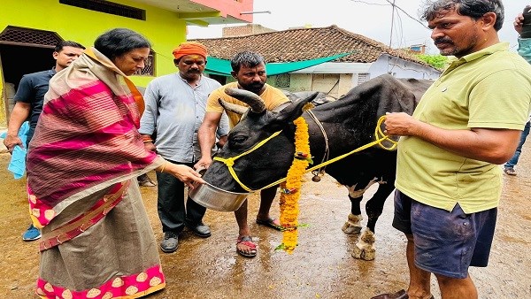 SAGAR: डेयरी विस्थापन] संचालकों को 7 दिन का अल्टीमेट 