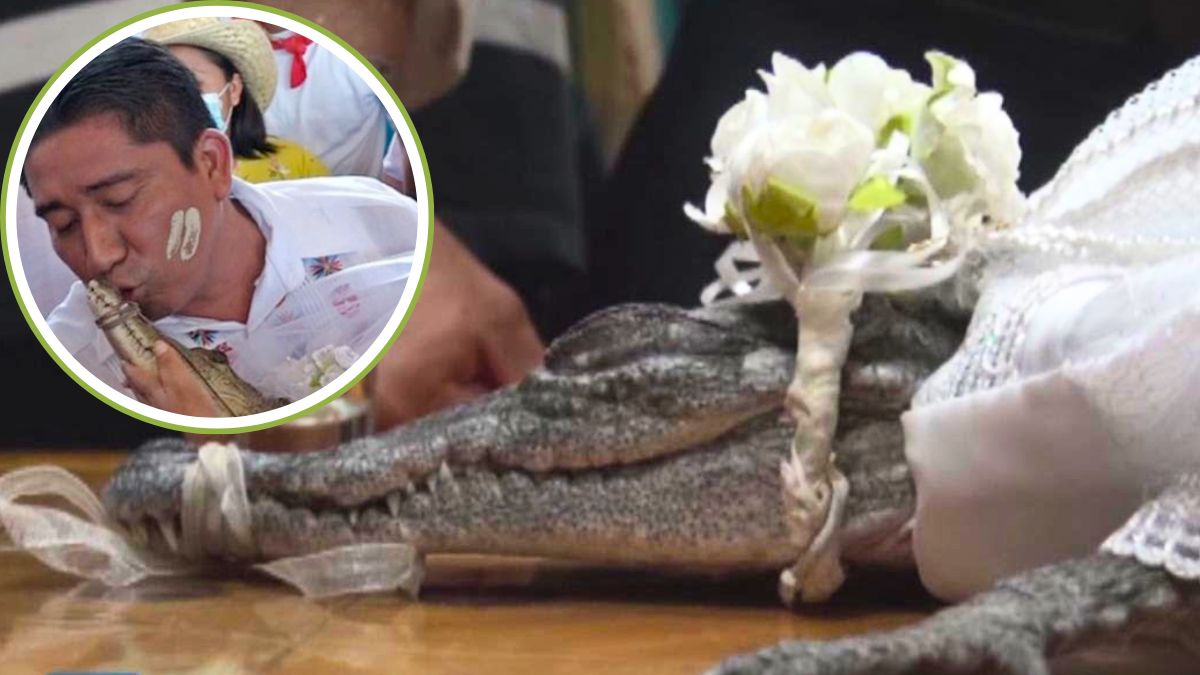Mexican mayor weds crocodile Mexican mayor weds crocodile