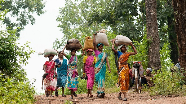 Odisha Mo Jungle Jami Yojana