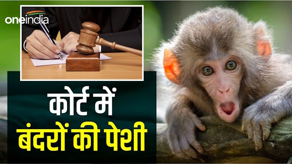 Pakistan baby monkey smuggling