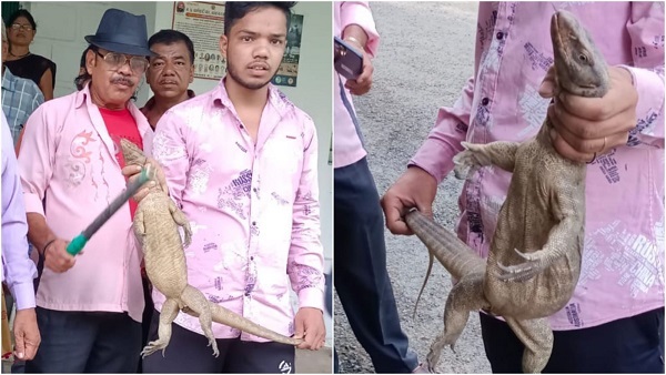 नौरादेही डीएफओ कार्यालय में गोह दिखी तो उड़े होश