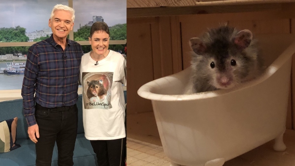 latest viral news