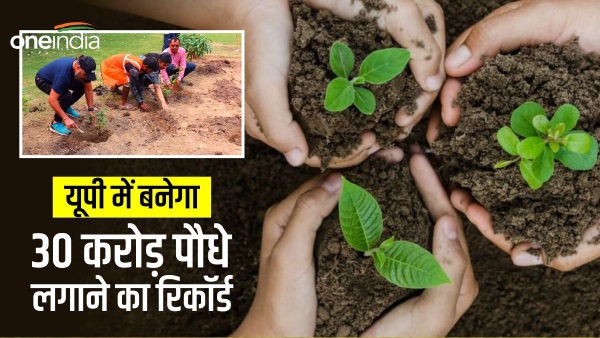 यूपी में पौधारोपण अभियान 