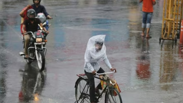 rain 