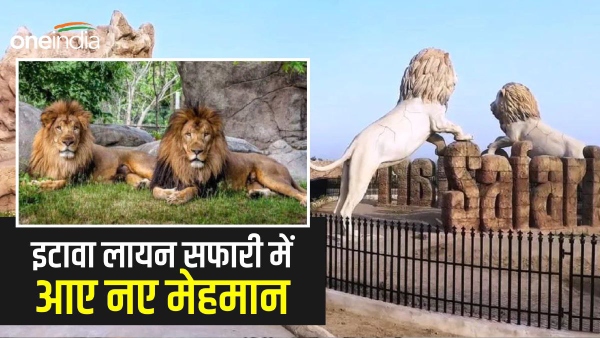 लायन सफारी पार्क 