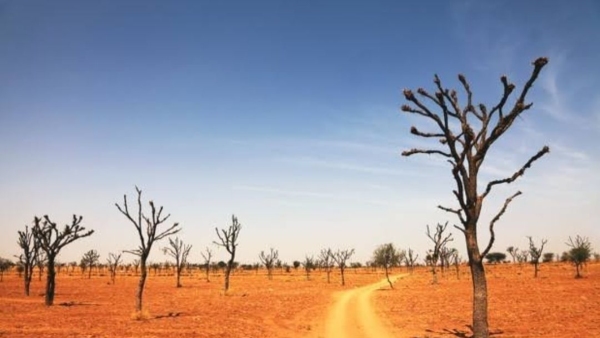 Desertification desert is increasing on the earth