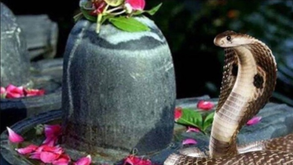 nag panchami 2023 kab hai nag devta ki puja vidhi nag panchami significance 