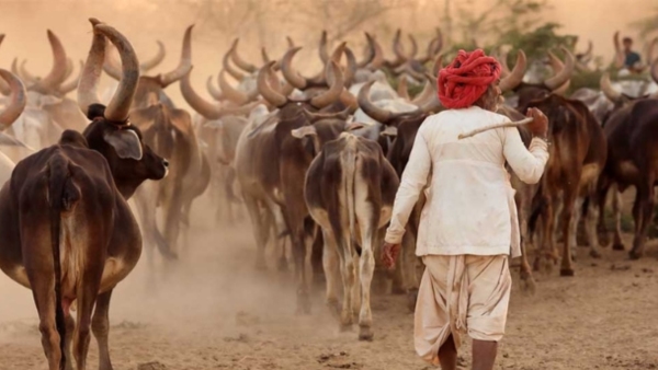 Nomadic Tribes nomadic castes continue to be humiliated and tortured